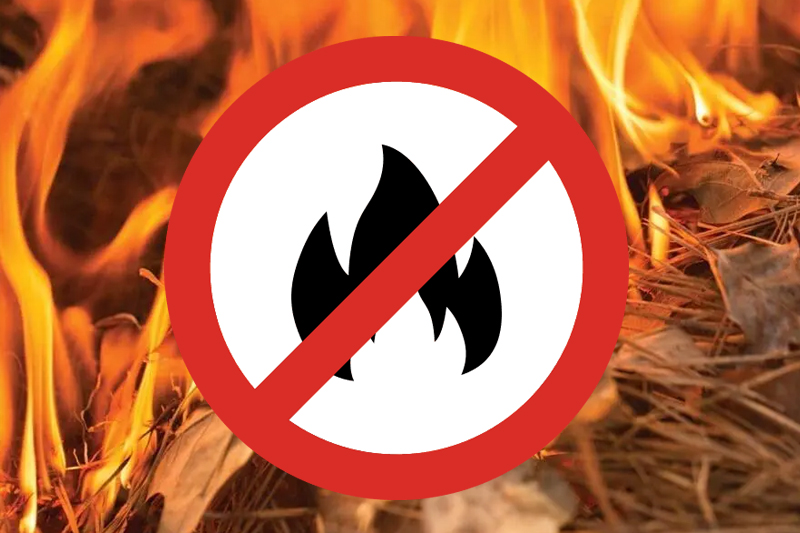 Burn Ban