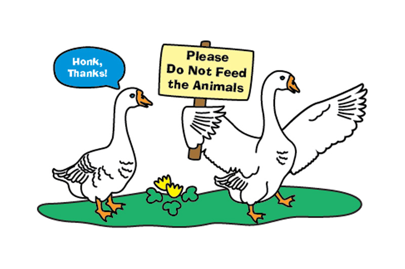 Please Do Not Feed The Animals