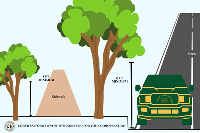 Tree Trimming in Lower Salford
