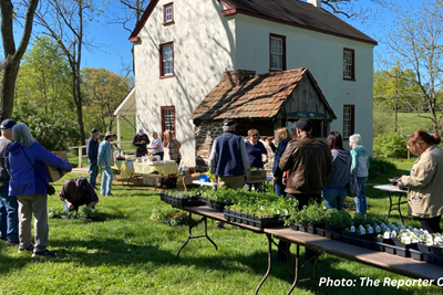 Herb Festival 2026