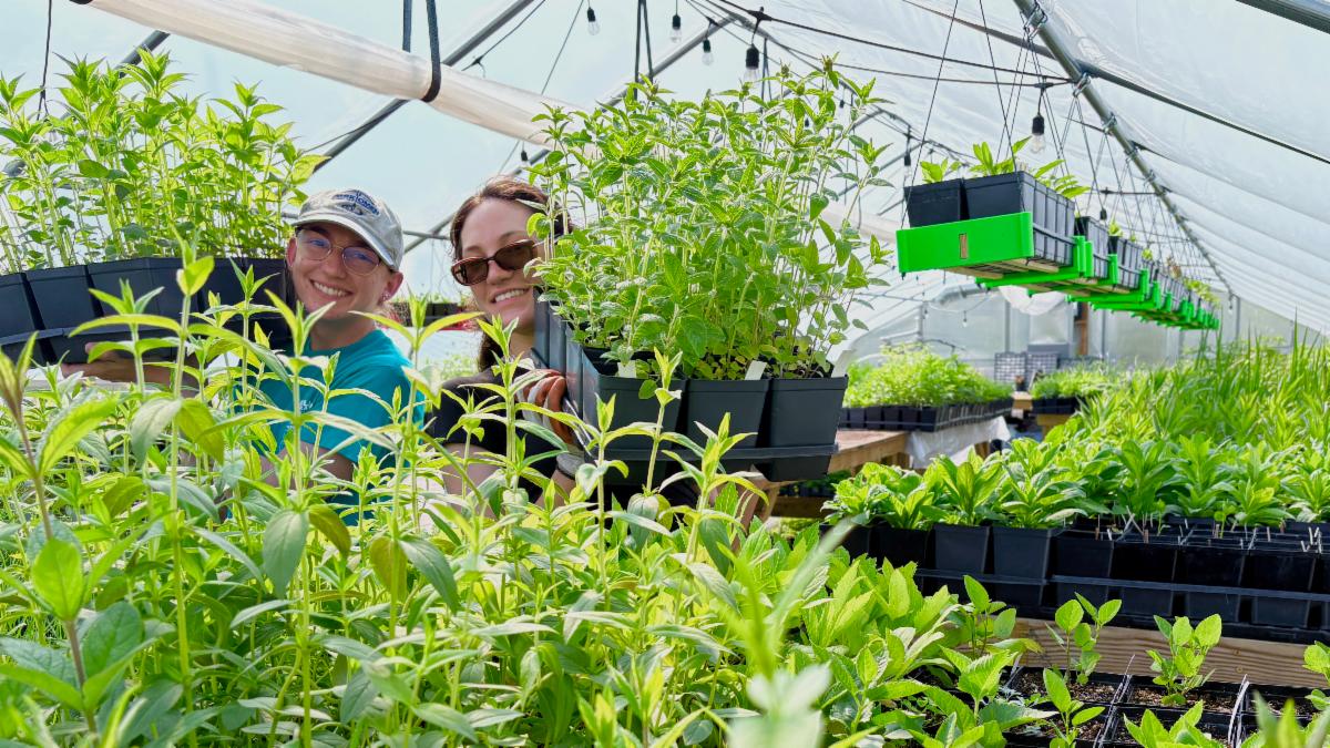 Perkiomen Watershed Conservancy Native Plant Sale