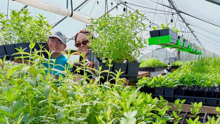 Perkiomen Watershed Conservancy Native Plant Sale