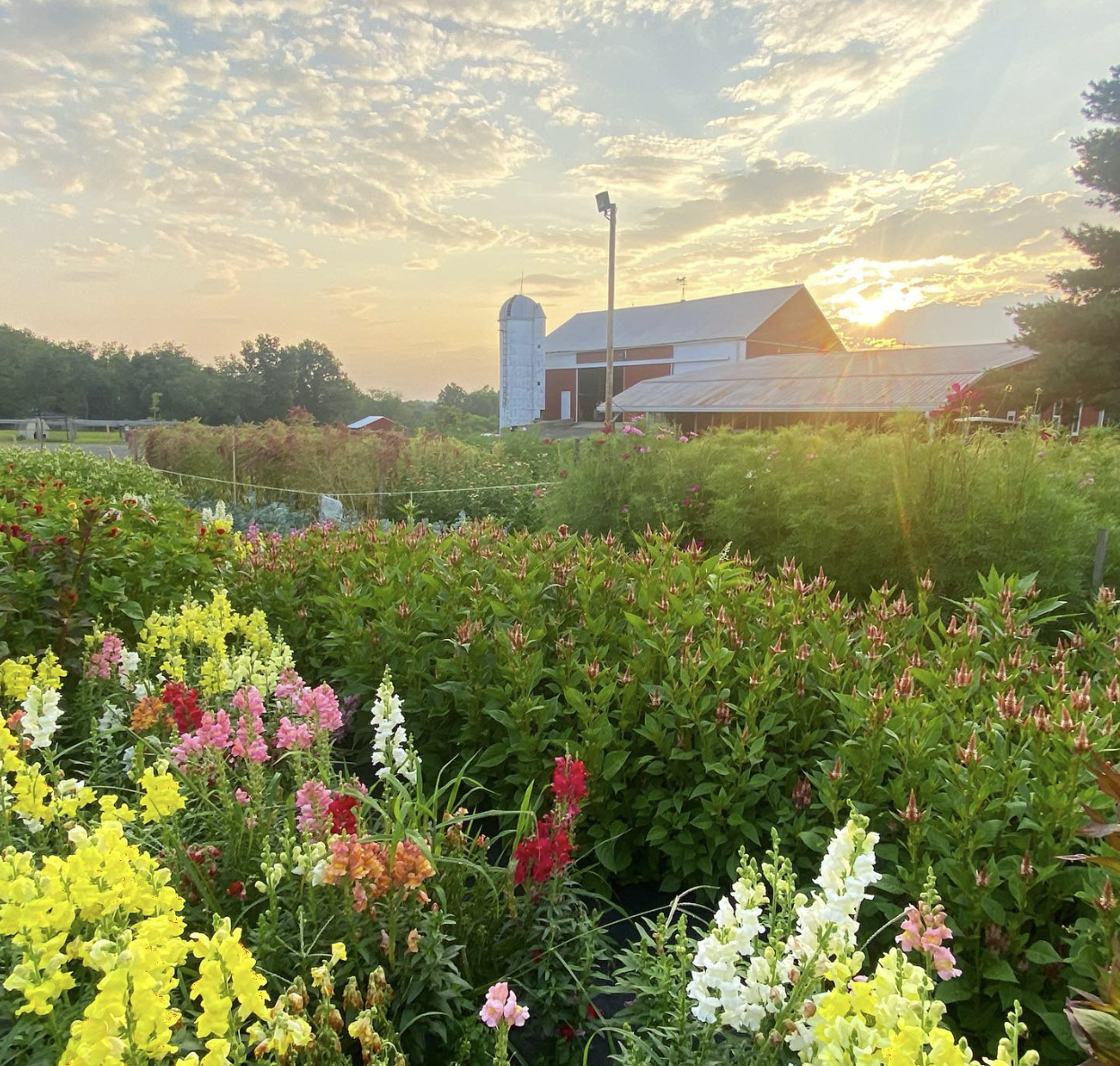Montgomery County to Host Annual Montco Farmers Gathering